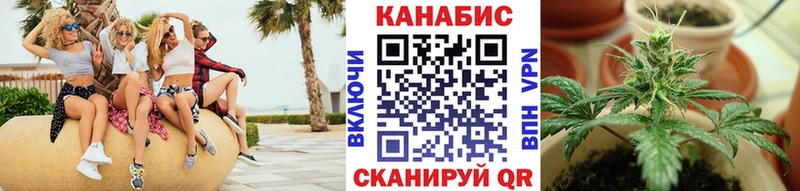 Виды наркоты Вологда МАРИХУАНА Бутират Мефедрон АМФЕТАМИН