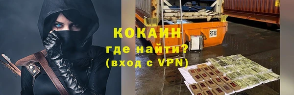 индика Абаза