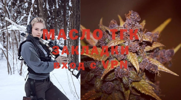 индика Абаза