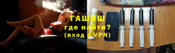 индика Абаза