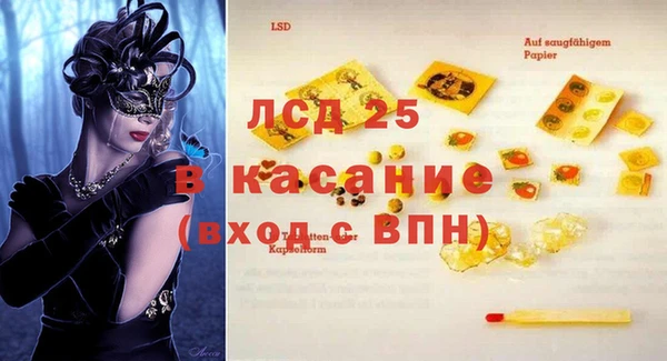 индика Абаза