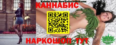 мяу мяу мука Новозыбков