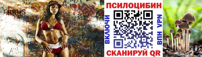 Галлюциногенные грибы Cubensis OMG маркетплейс даркнет Telegram Вологда