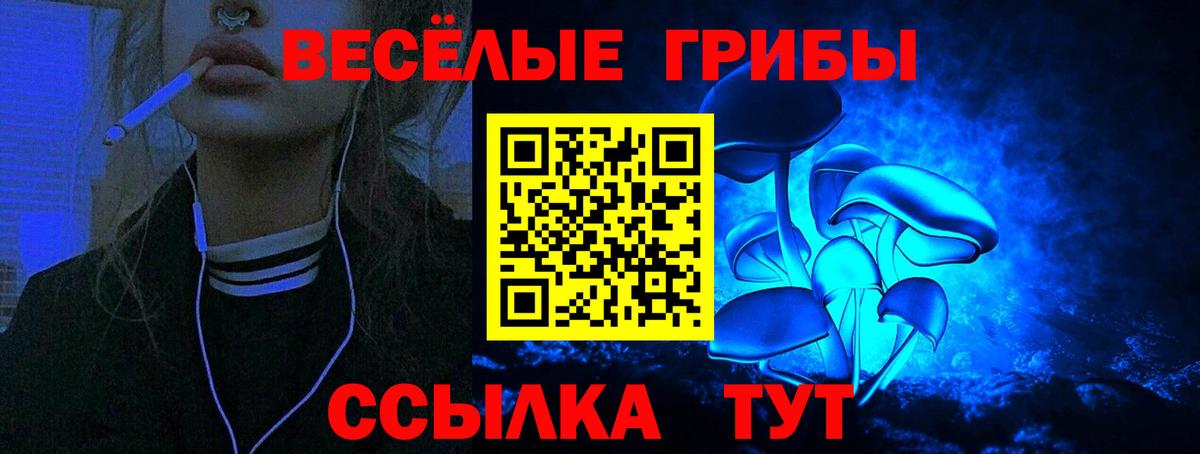 Вологда  Галлюциногенные грибы MAGIC MUSHROOMS  Вход с VPN 